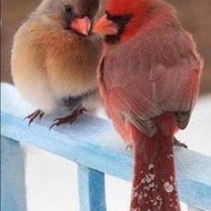 Meet your Posher, Sandy